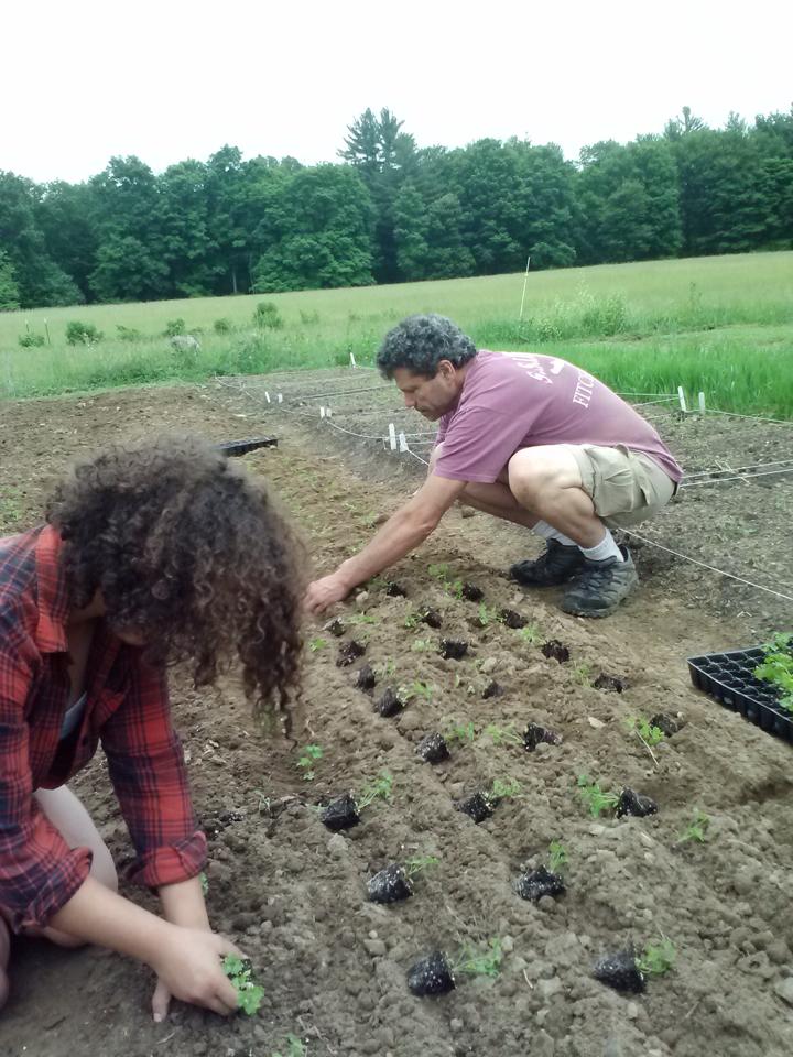 Herbalist career of master herbalist Chris Marano.