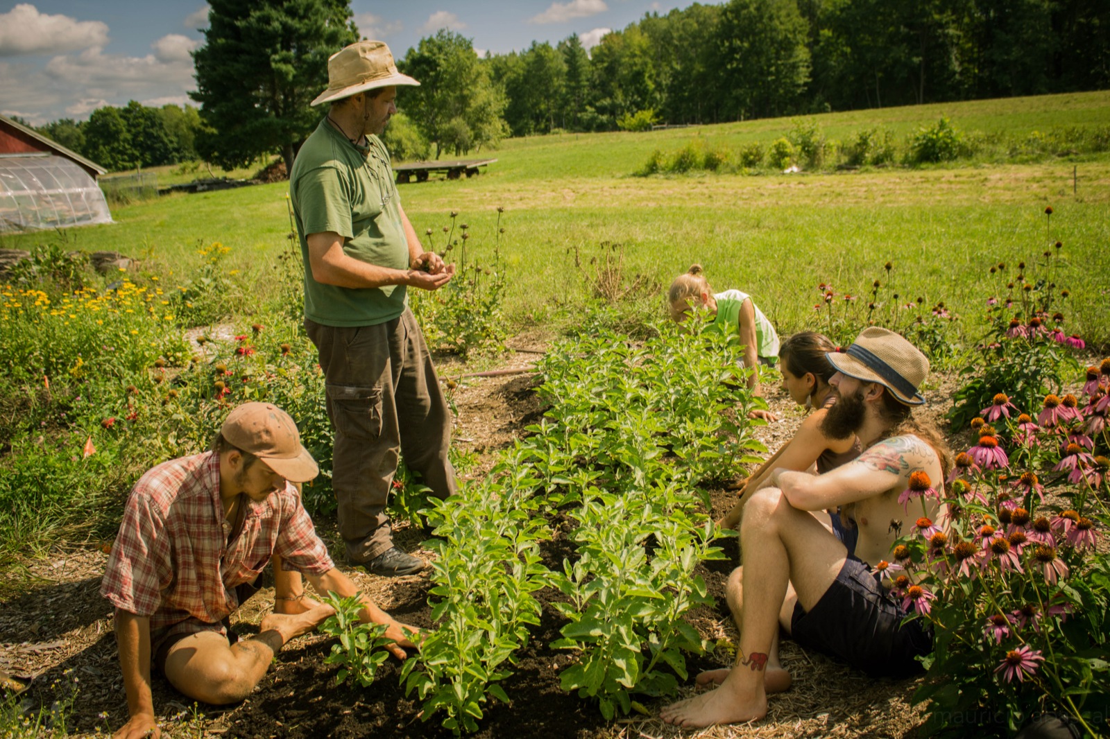 Herbalist training in the garden. 