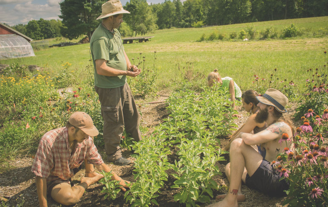 Herbalism school with teaching gardens.