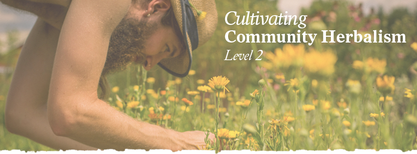 Herbalist classes: Cultivating Community Herbalism