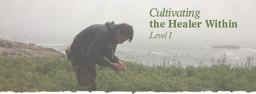 Herbalist Training: Cultivating the Healer Within 