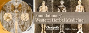 Foundations of Western Herbal Medicine @ Wendell | Massachusetts | United States