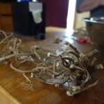 Optimized-tangle of astragalus roots