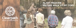 Plant Medicine & Nature Walks: Herbal Lore & Sensory Awareness Skills @ Mt. Toby State Forest | Sunderland | Massachusetts | United States