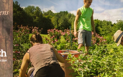 Clearpath Herbal Medicine Garden: Ten Year Anniversary