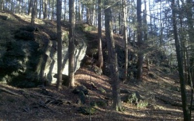 Plant Medicine and Nature Walk at Mt. Toby: Herb Lore and Sensory Awareness Skills