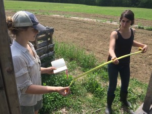 Optimized-Optimized-Leah and Lilly conferring on herbal mediicne gardens dimensions (1)