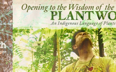 Opening to the Wisdom of the Plant World: The Physical Language of Plants