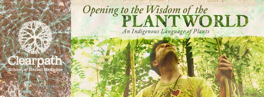 Opening to the Wisdom of the Plant World: The Physical Language of Plants