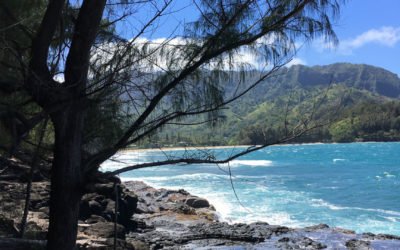 Kauai Work Retreat, Spring Break 2017 (Part Two)